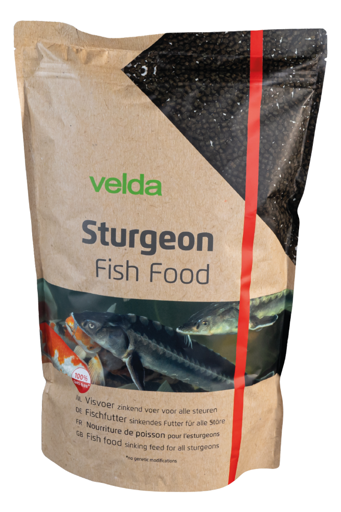 Sturgeon Fish Food