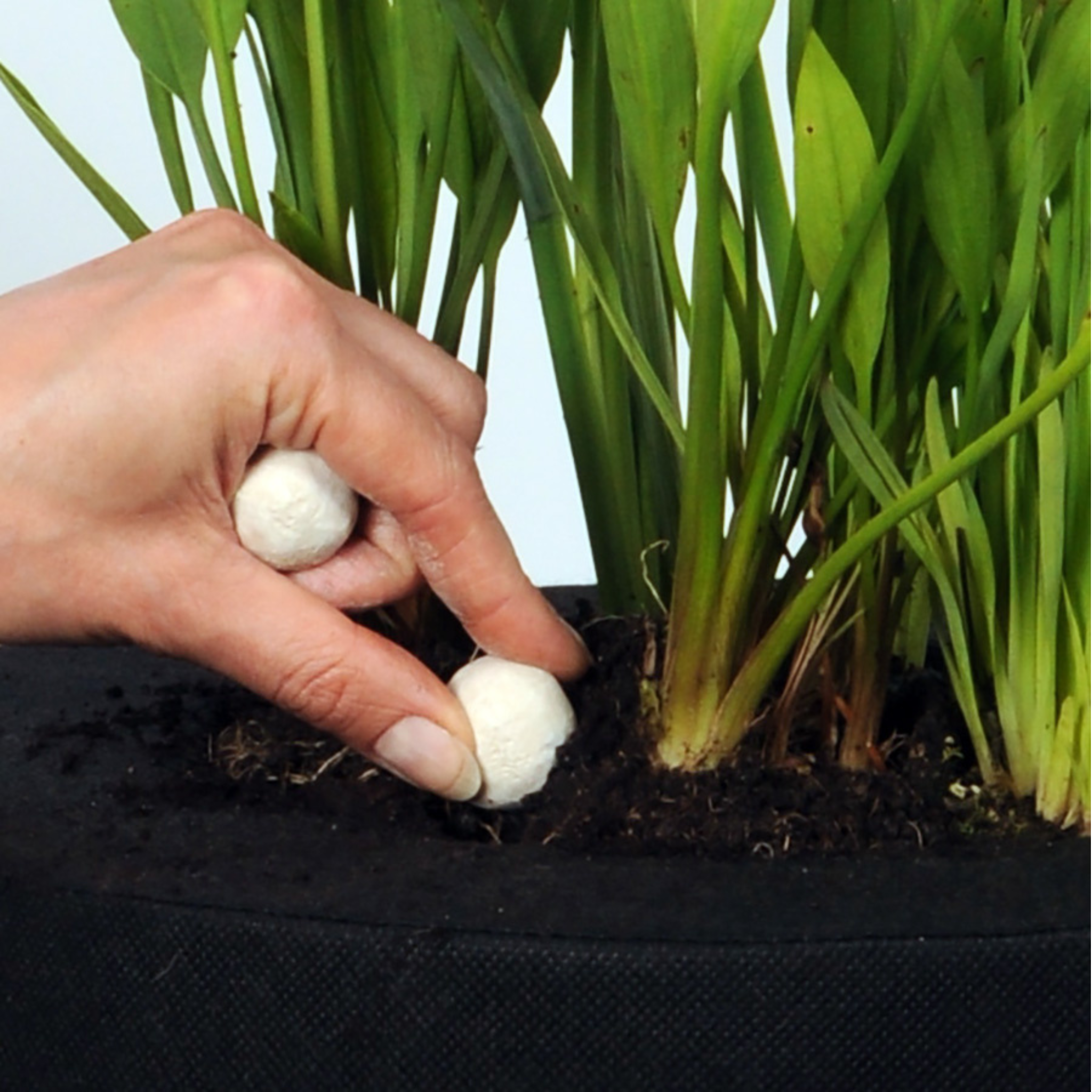 Superdüngerkugeln XL