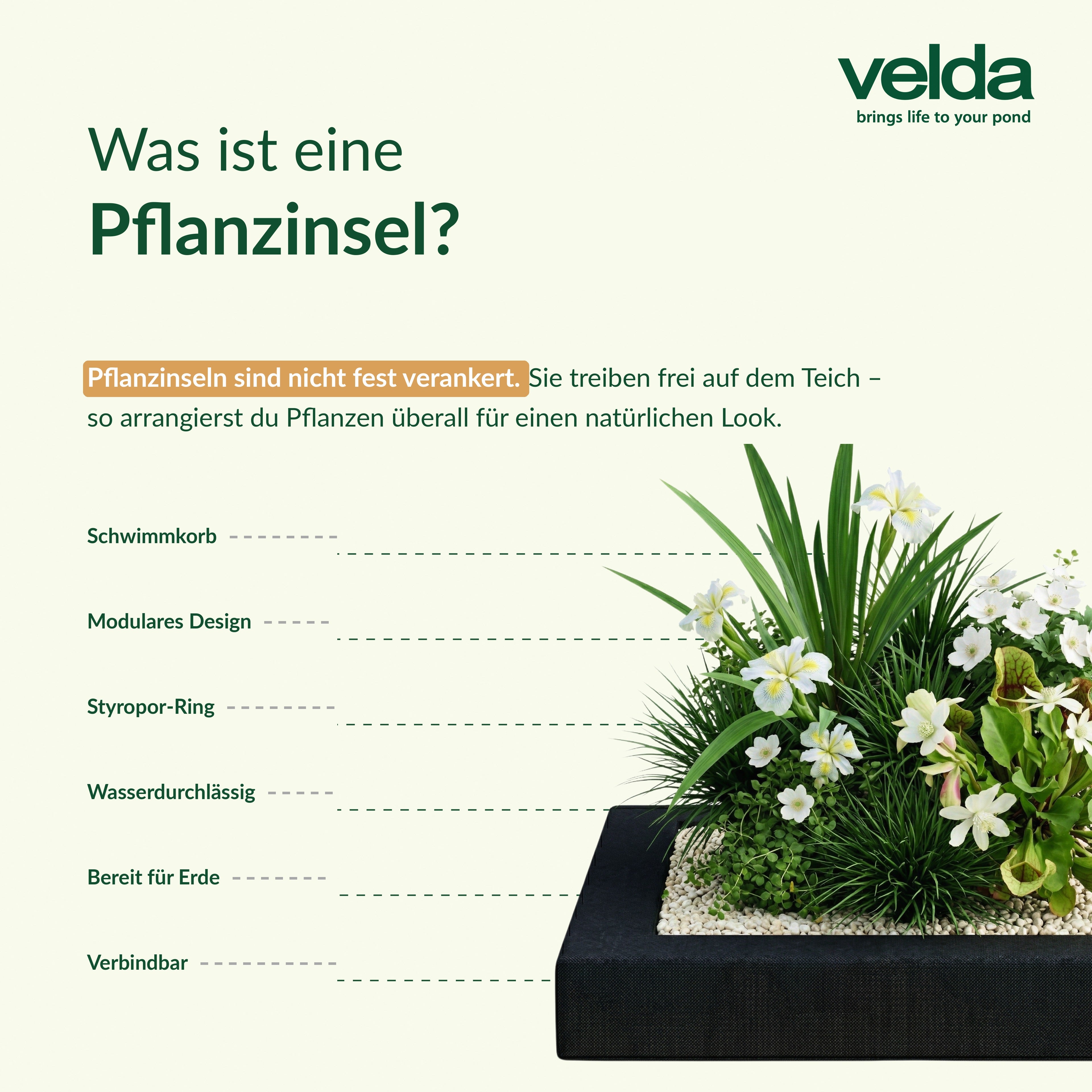 Velda Produktbild (DE)