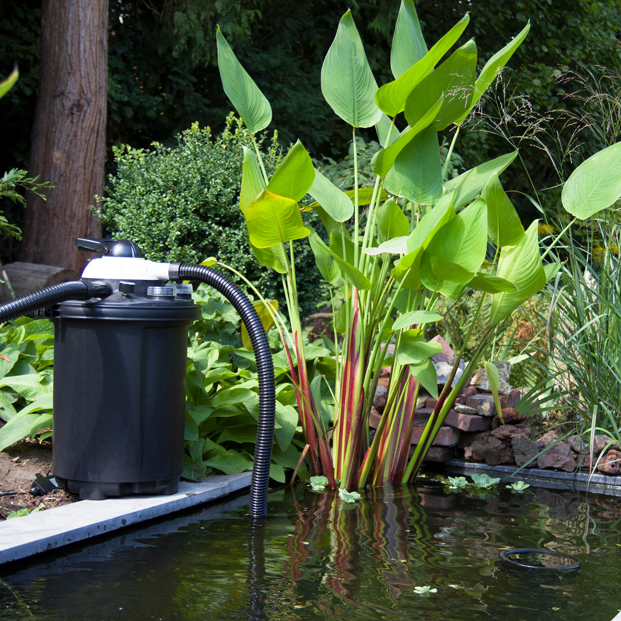 Atmosphärenfoto Clear Control Set