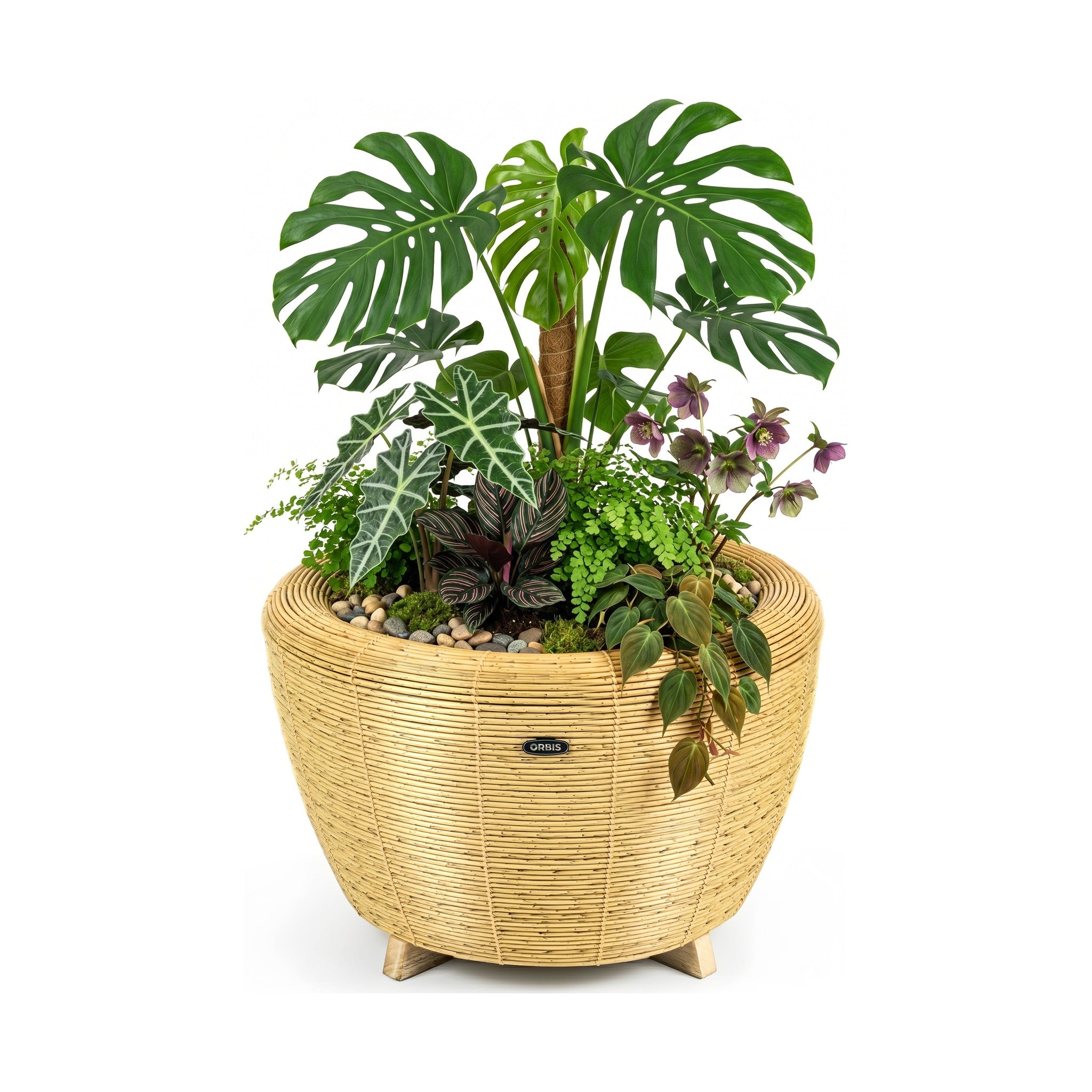 Orbis Planter
