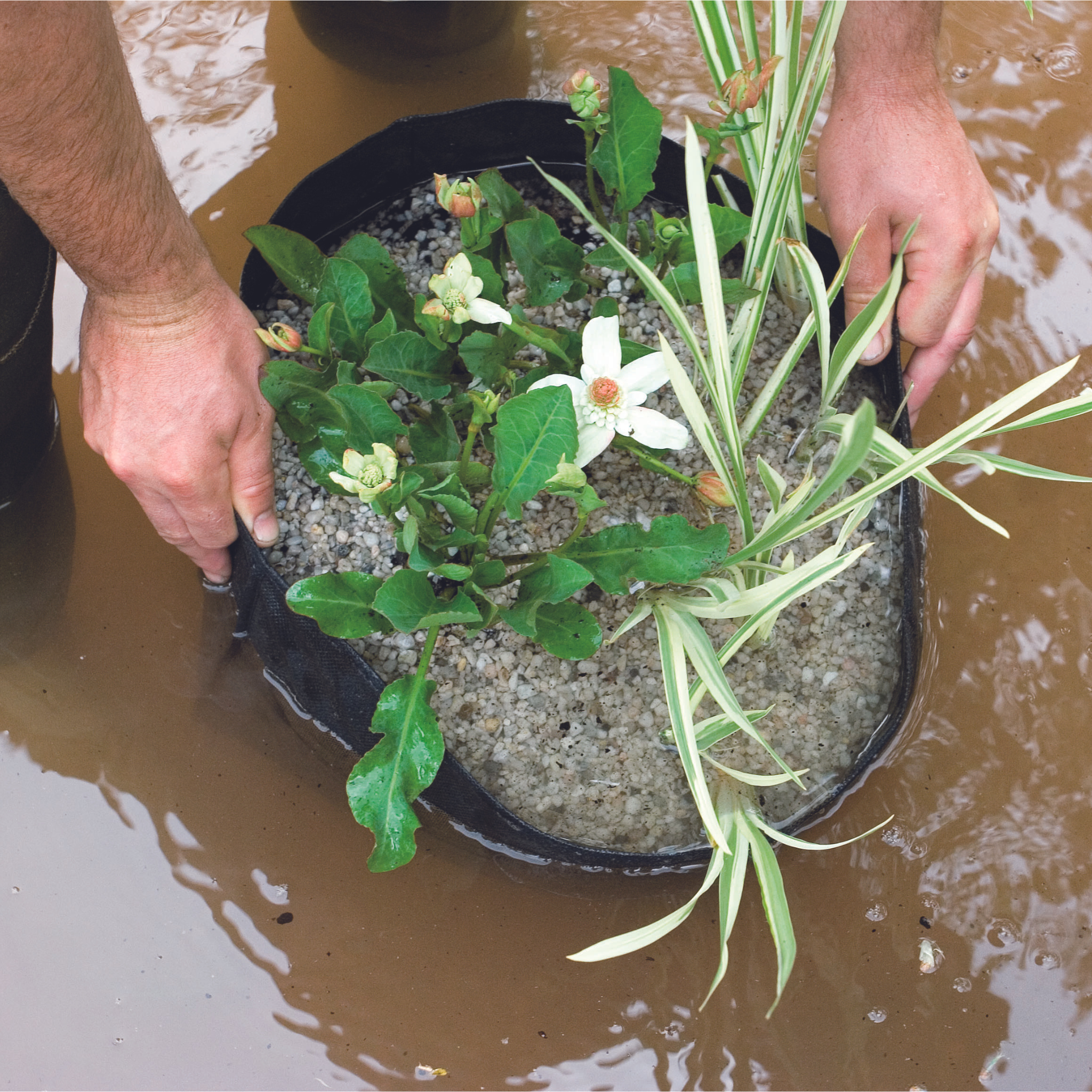 Superdüngerkugeln XL