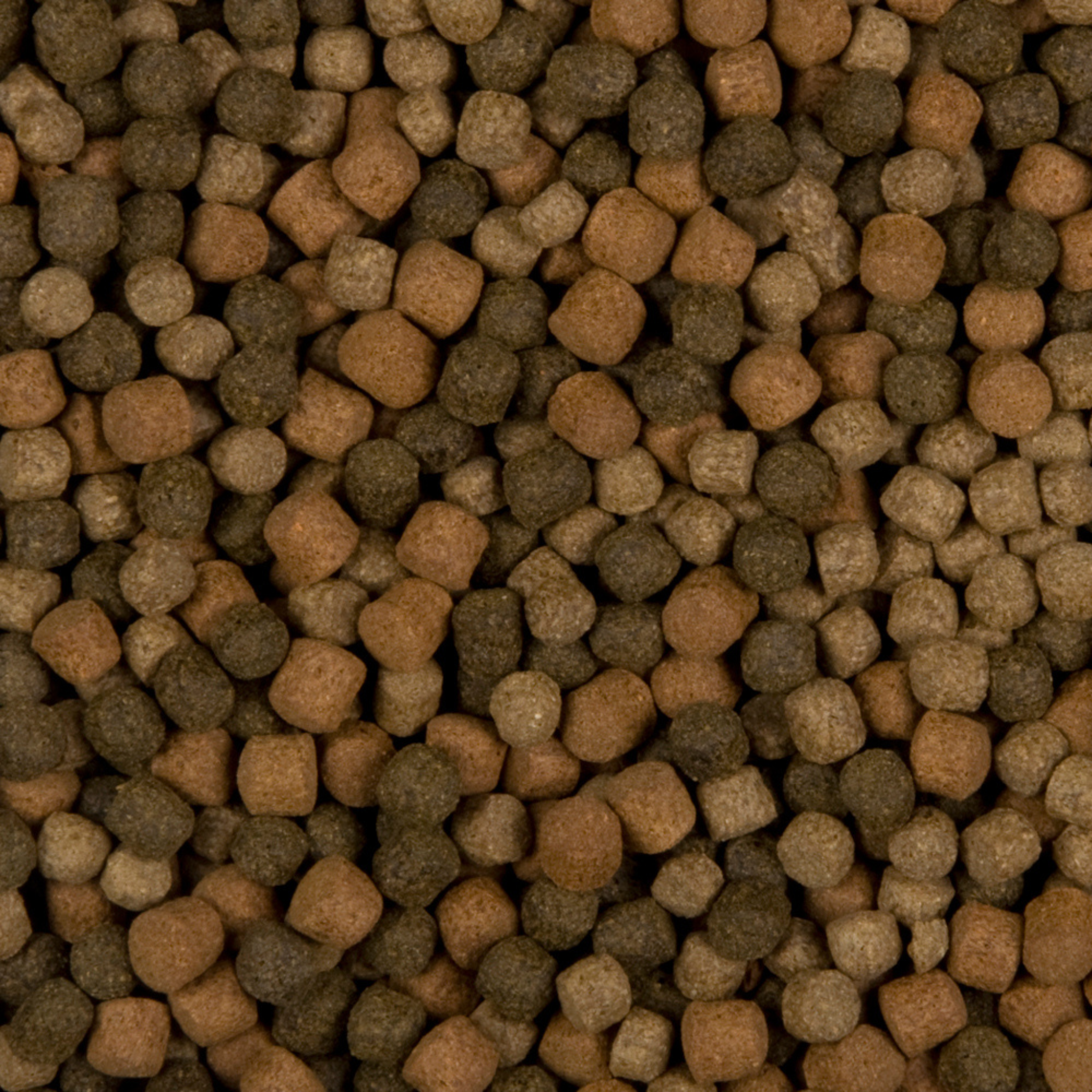 Colour Hi-Grow Mix 3 mm