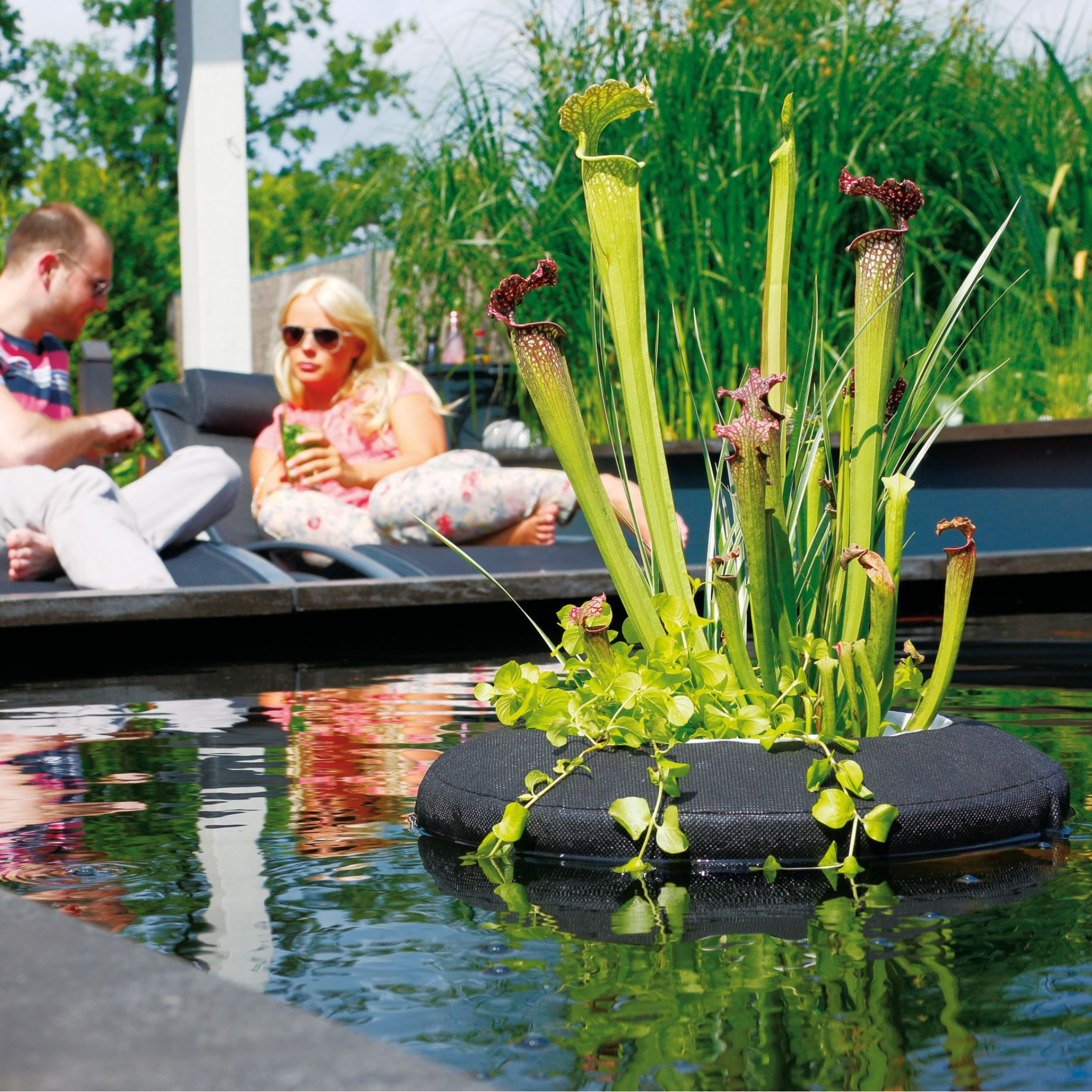 Floating Plant Island