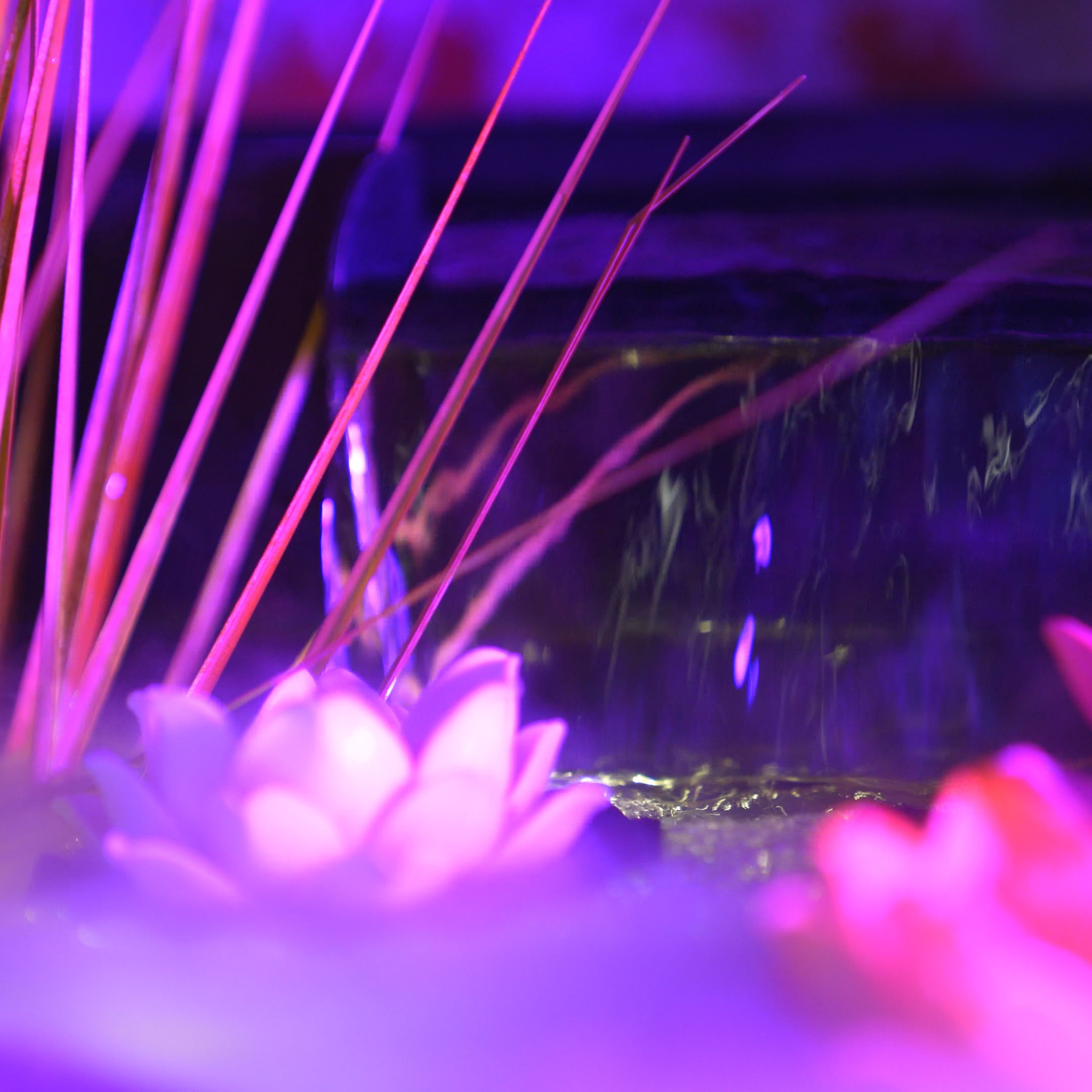 Fountain Pond Waterfall