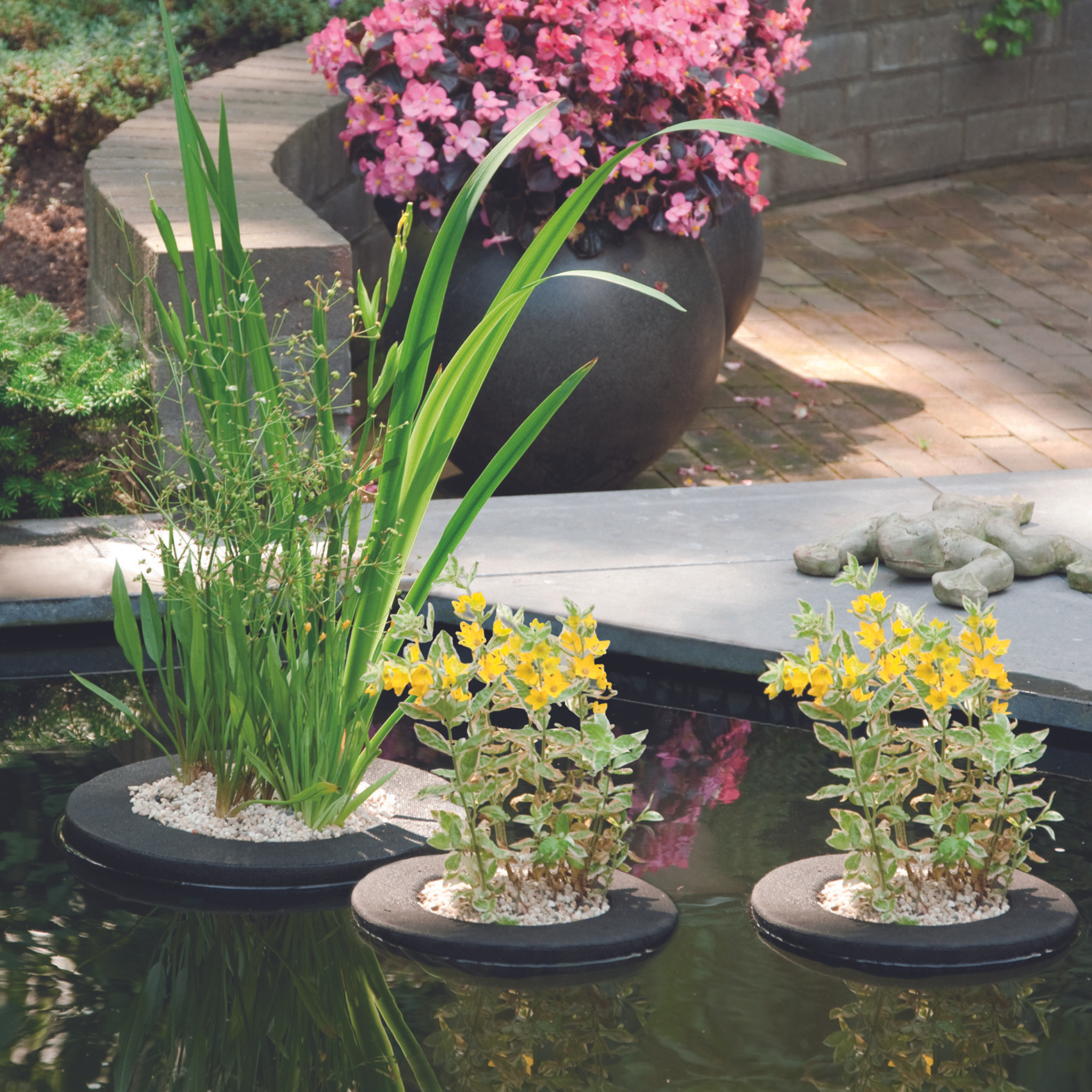 Floating Plant Island