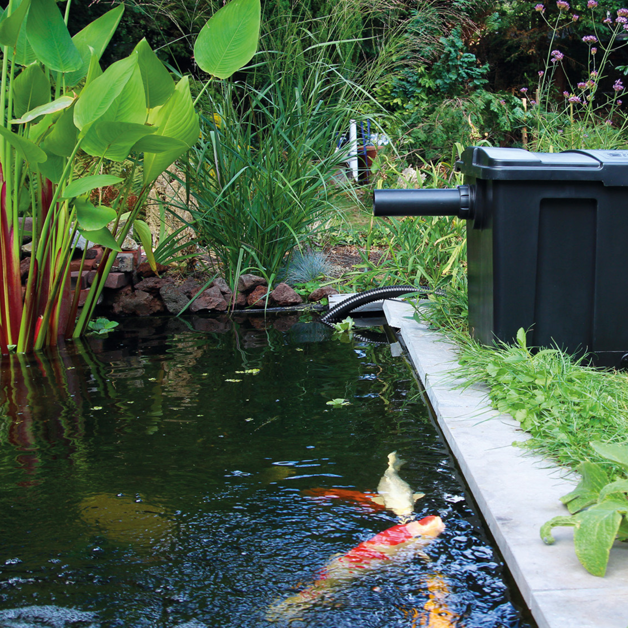 Cross Flow Biofill Stimmungsbild