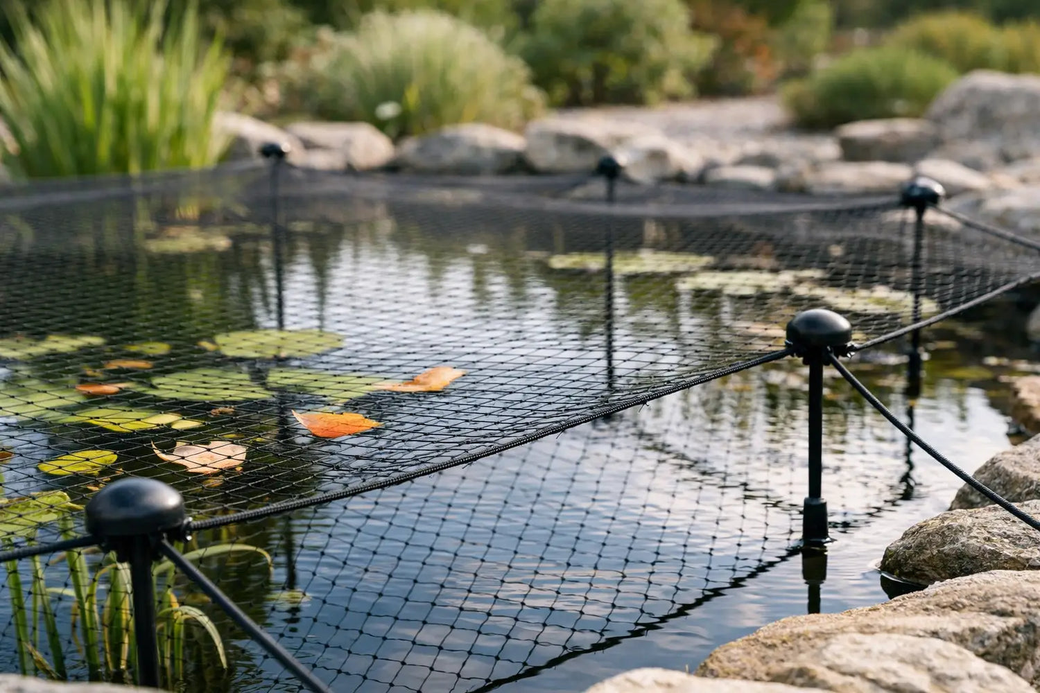 Laubnetz am Teich befestigen ohne Durchhängen