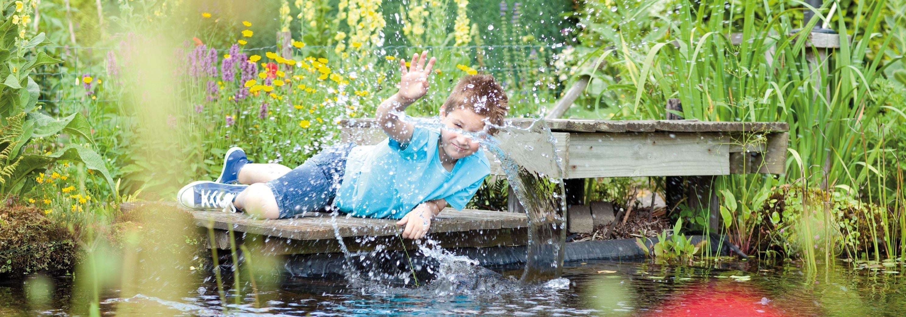 Teich Stufenplan für das Frühjahr