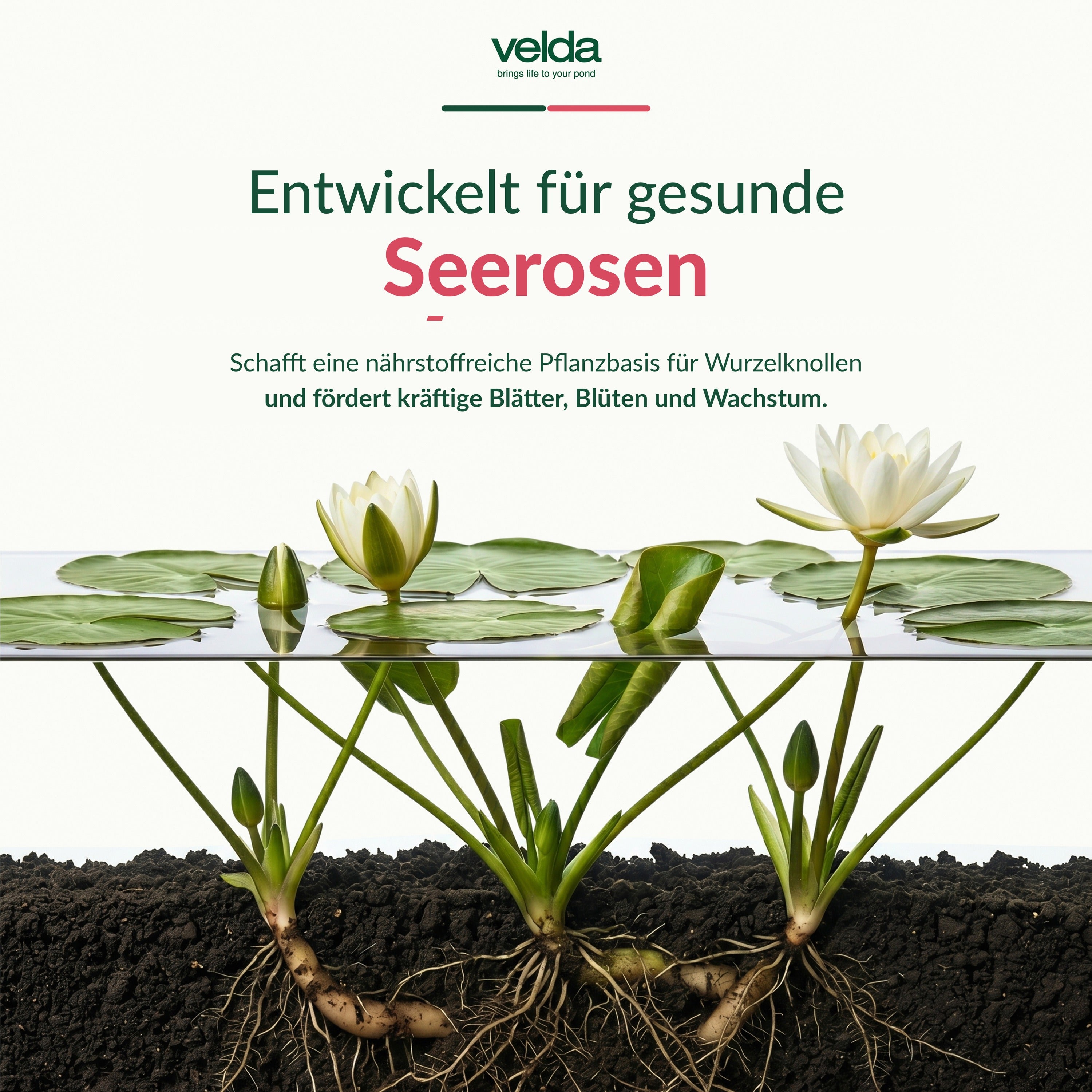 Velda Produktbild (DE)