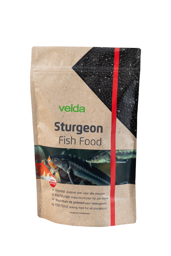 Sturgeon Fish Food