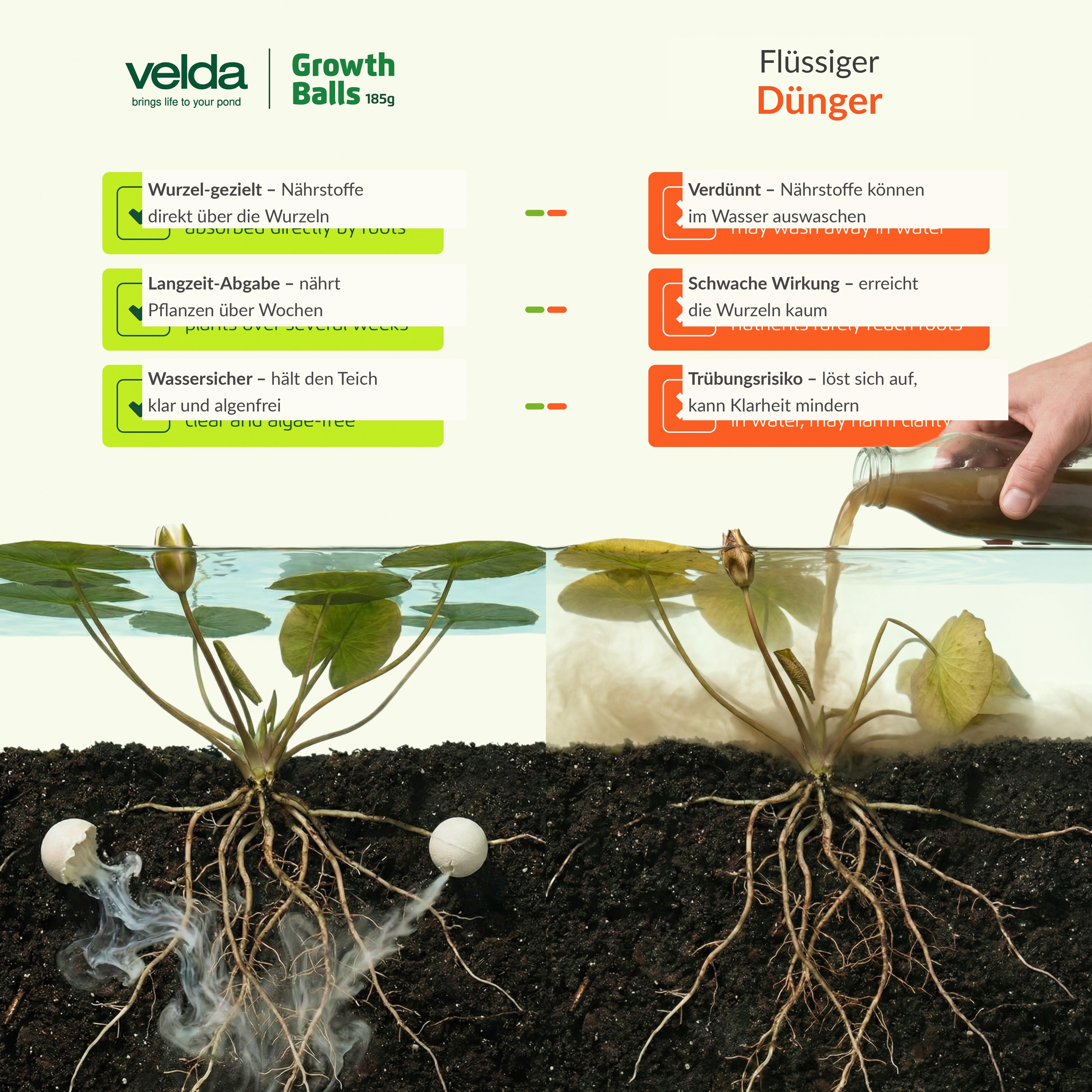 Velda Produktbild (DE)