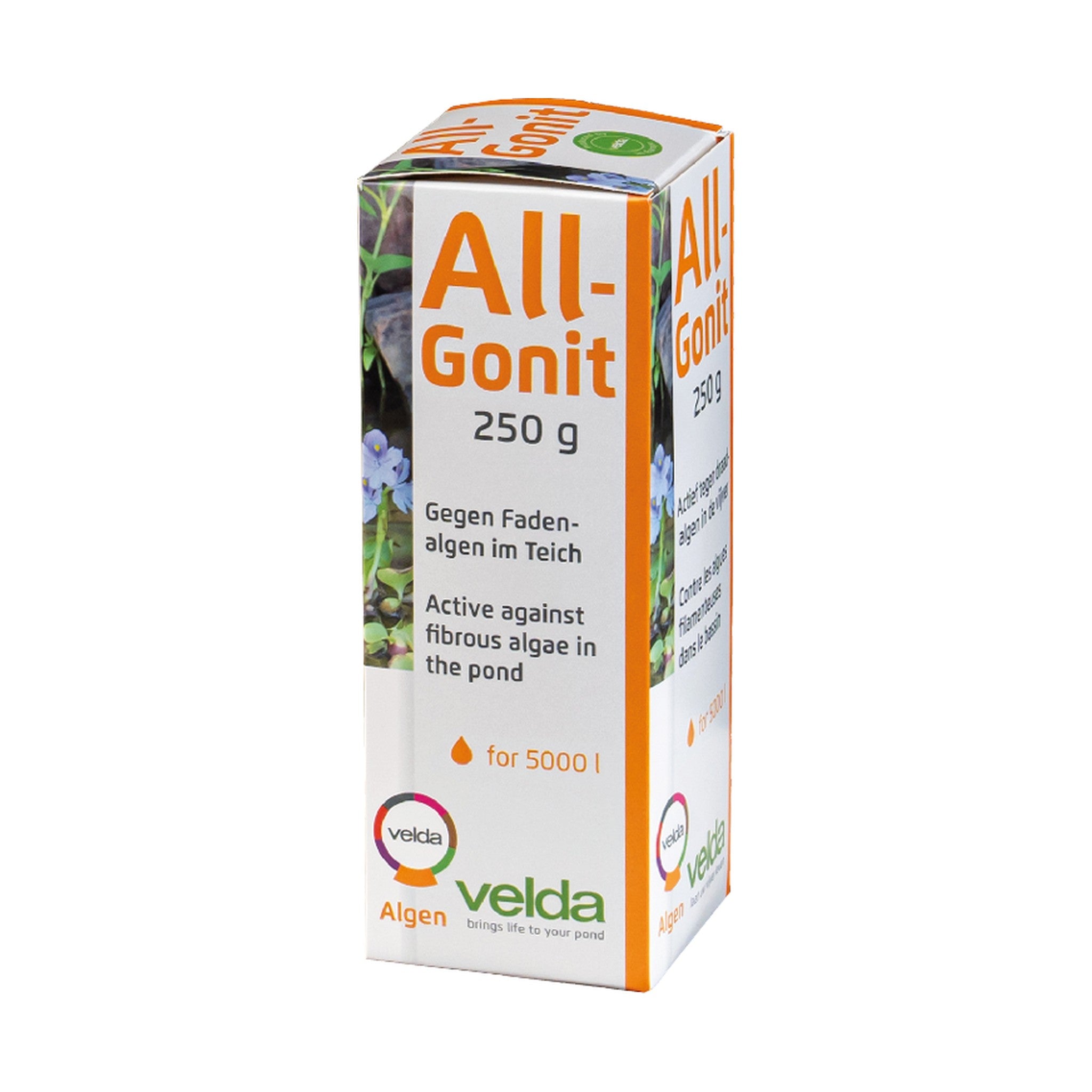All-Gonit