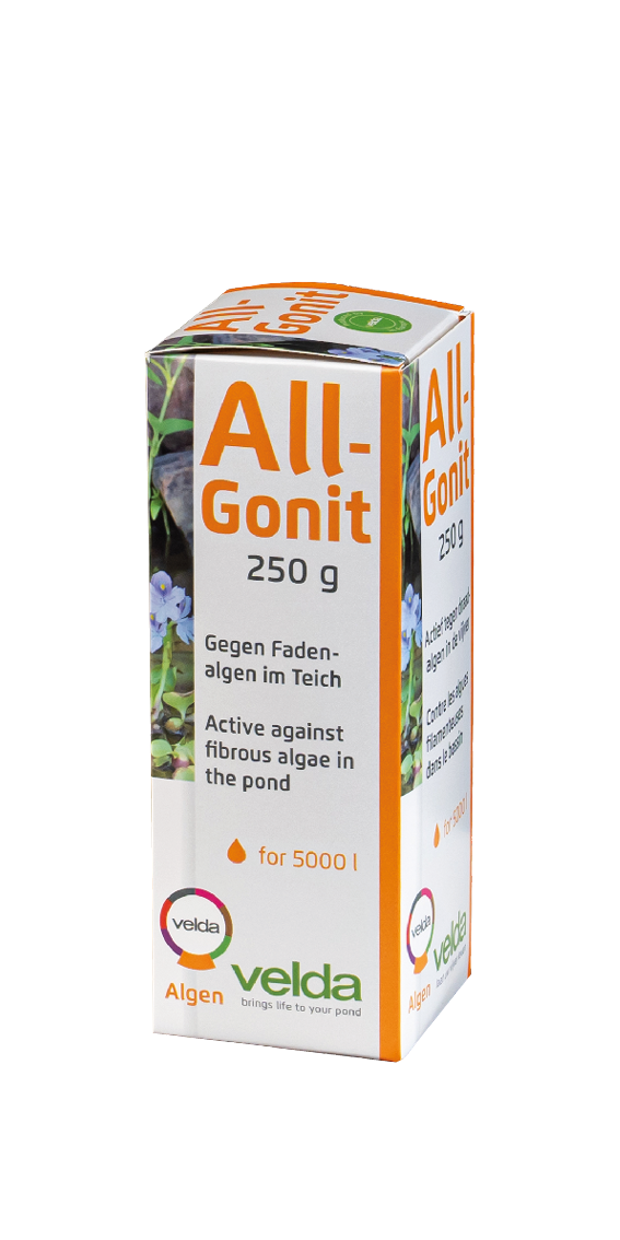 All-Gonit