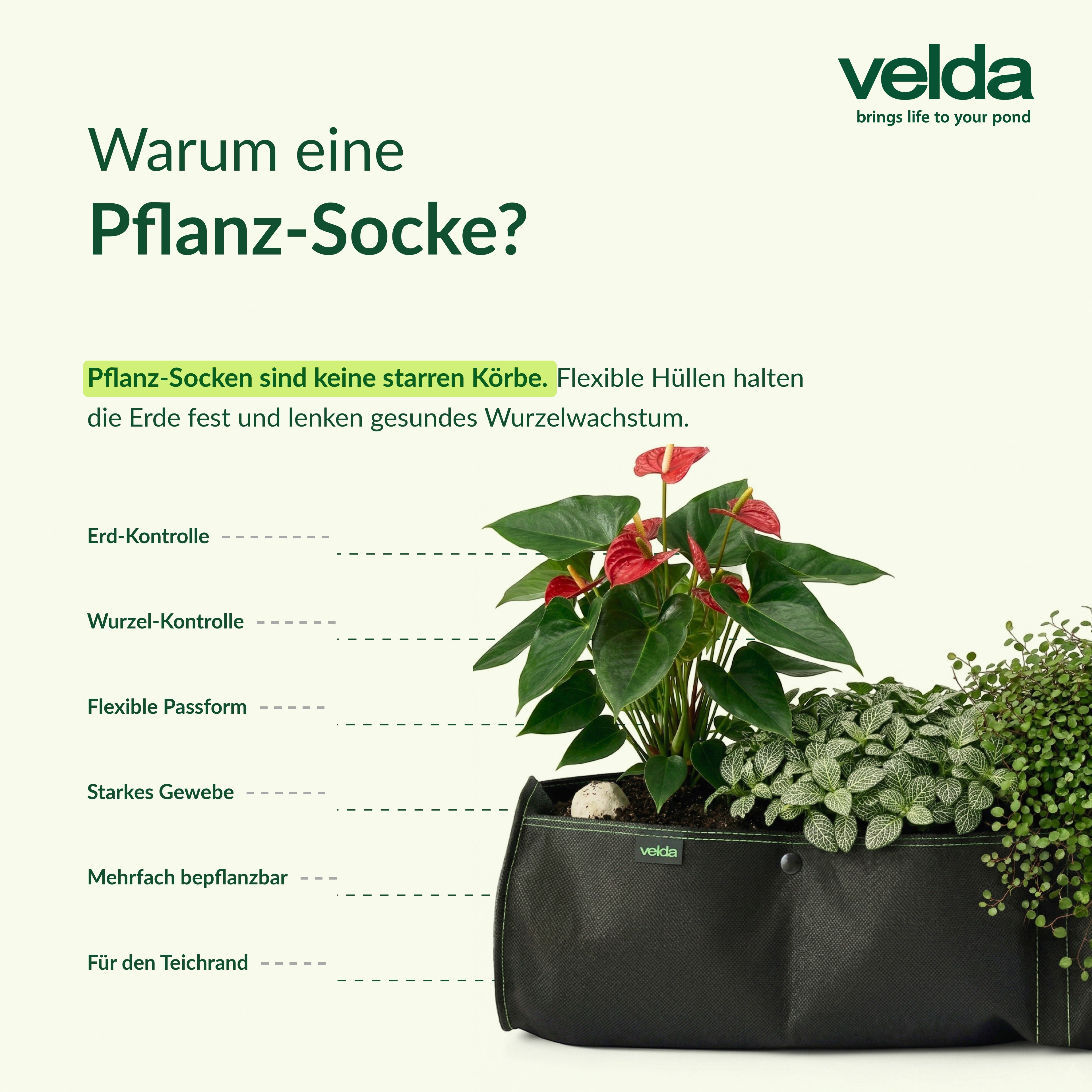 Velda Produktbild (DE)