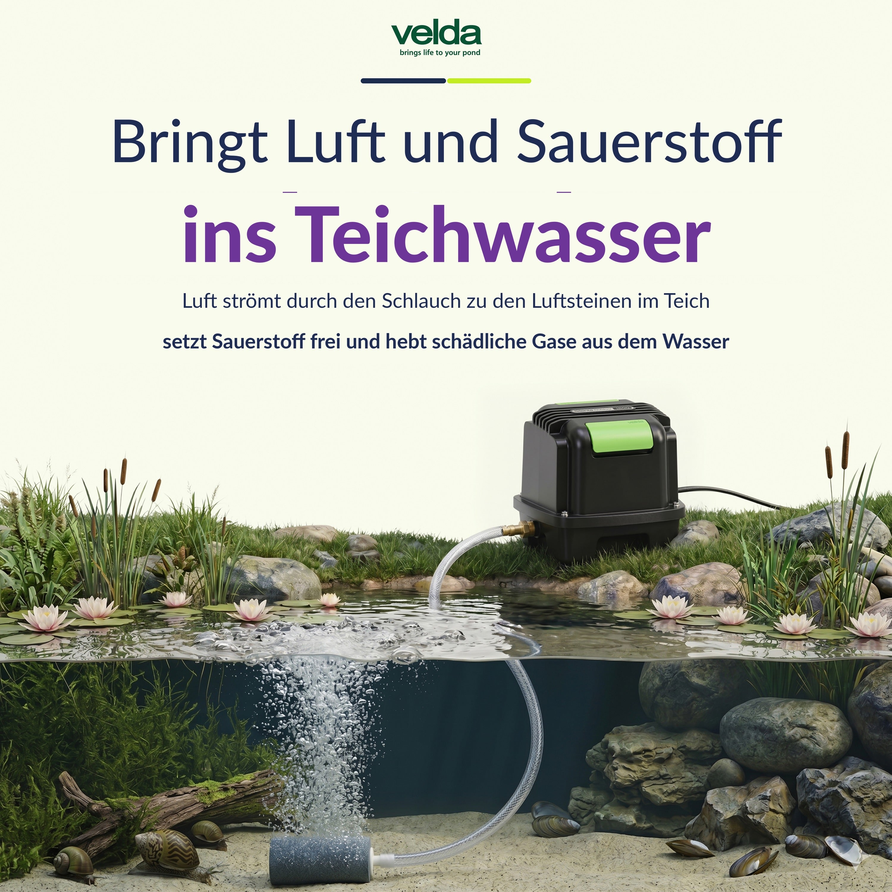 Velda Produktbild (DE)