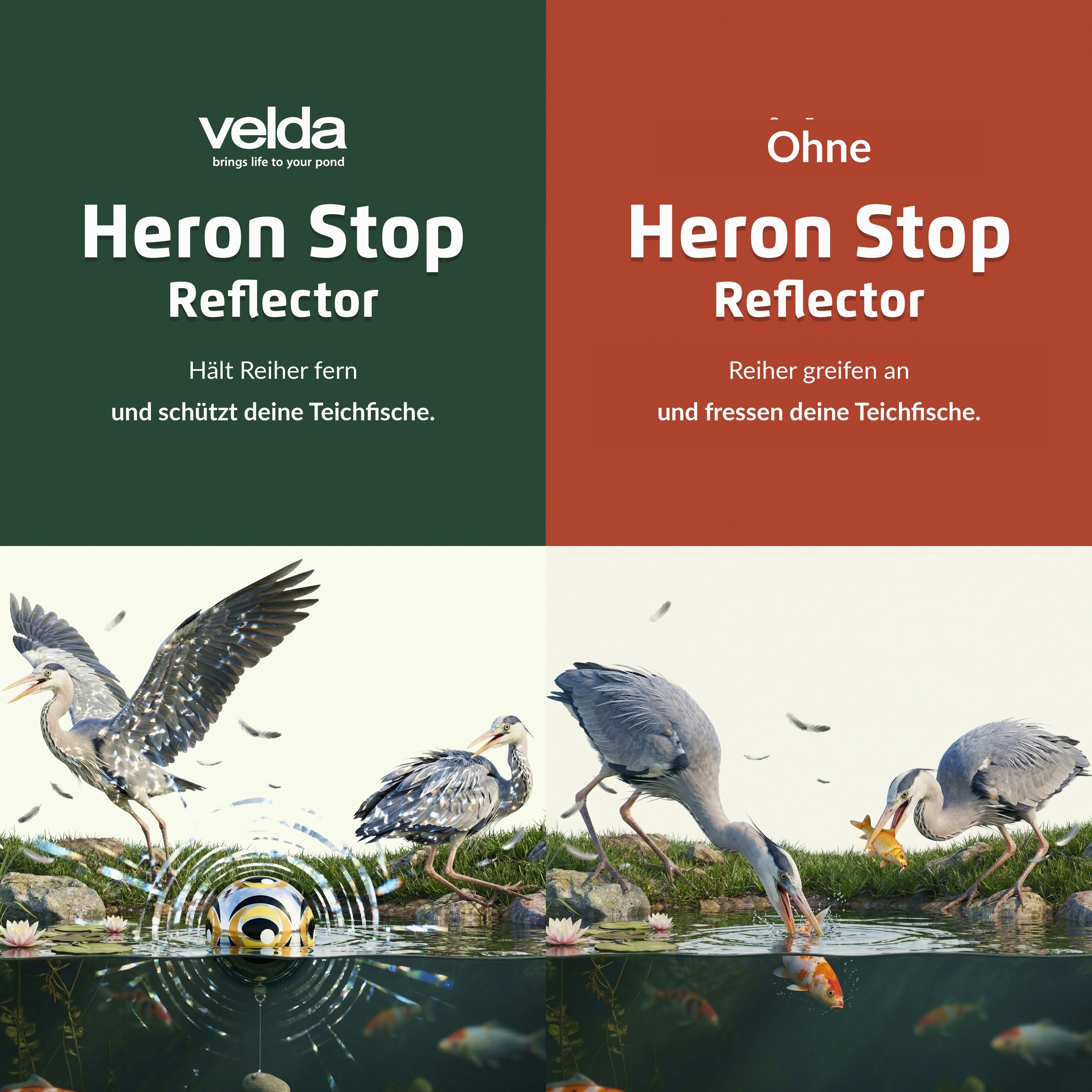 Velda Produktbild (DE)