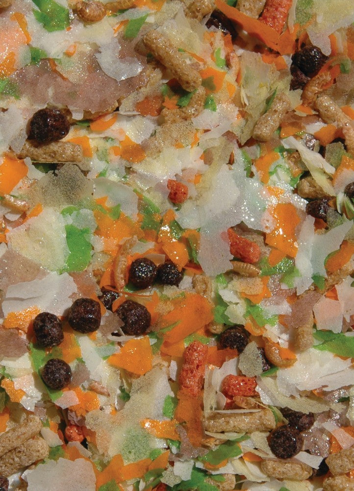 Gold Flakes Fish Food