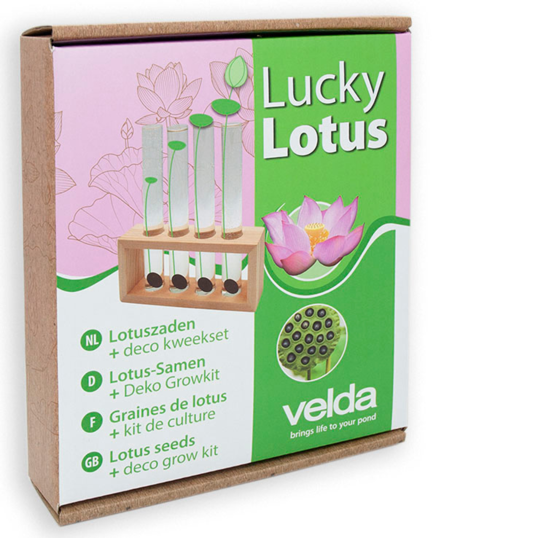 Lucky Lotus