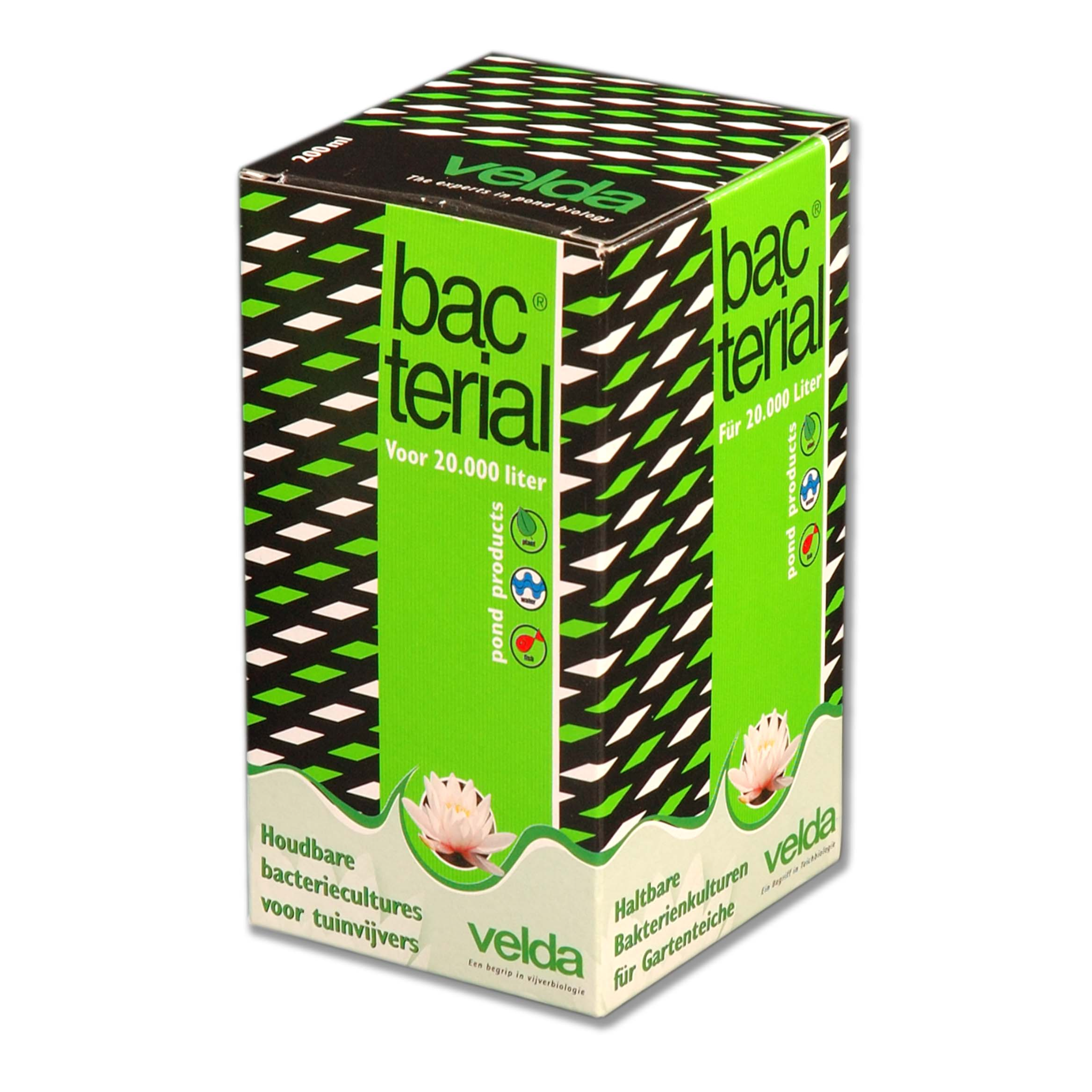 Bacterial 200 ml Velda