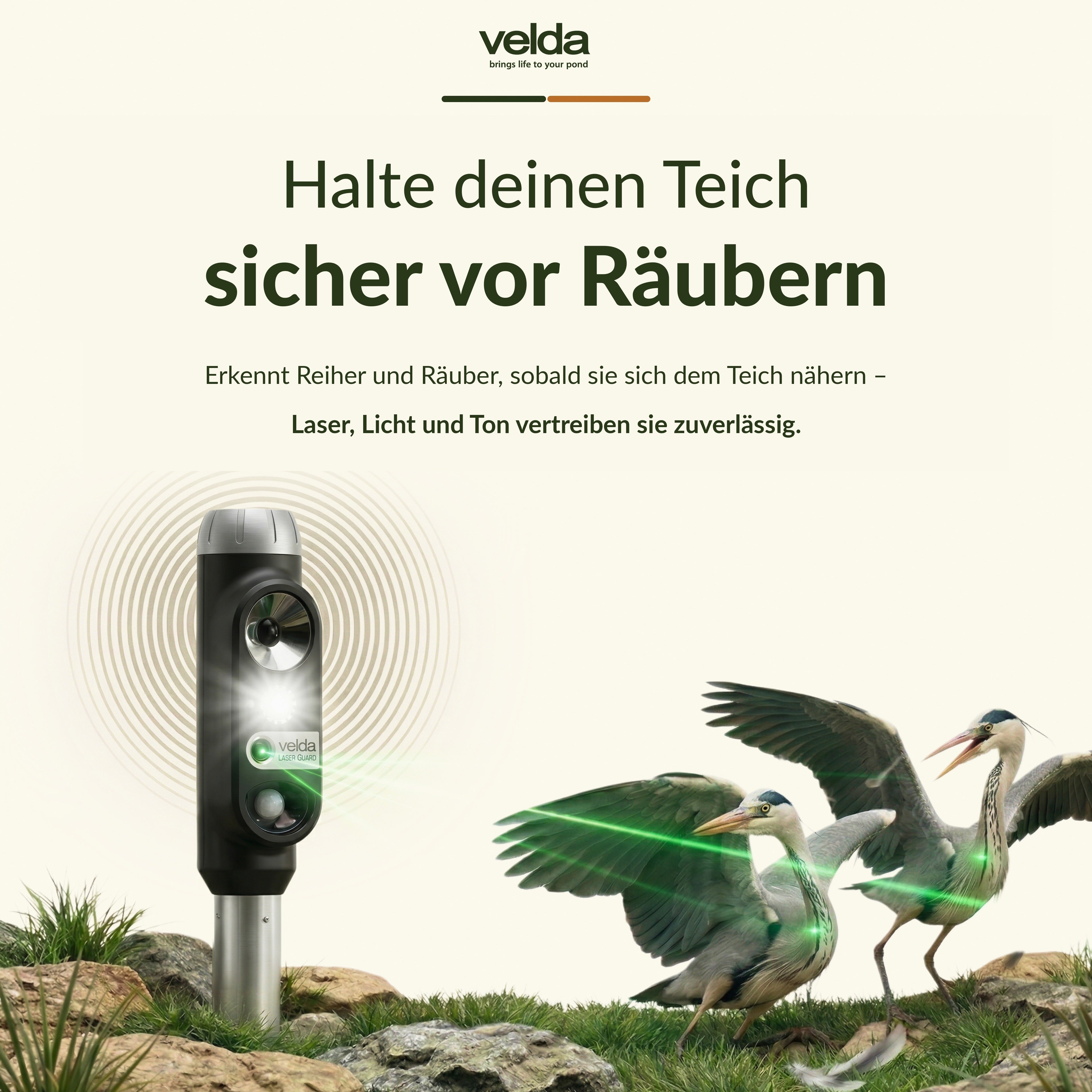Velda Produktbild (DE)