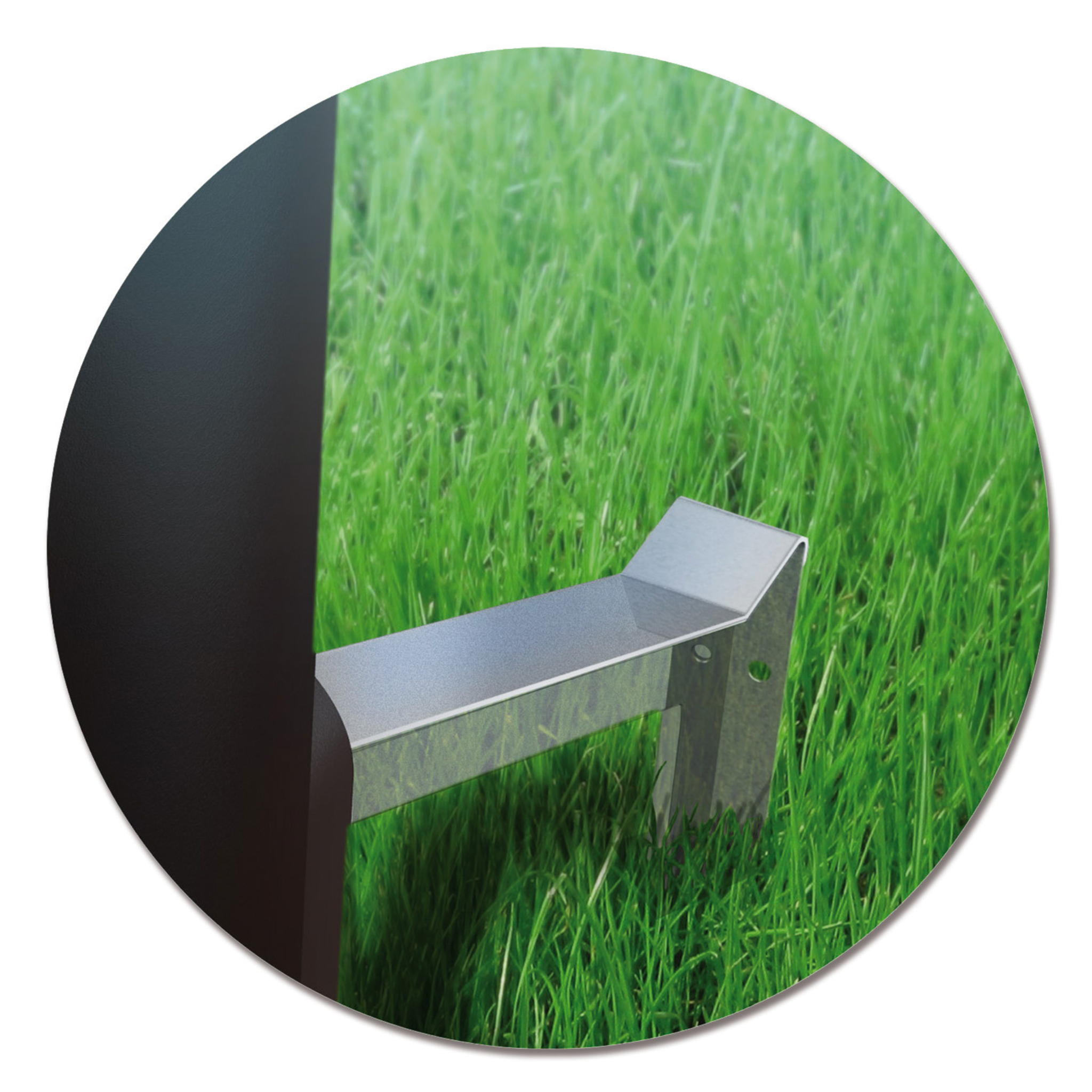 Fish Feeder Pro