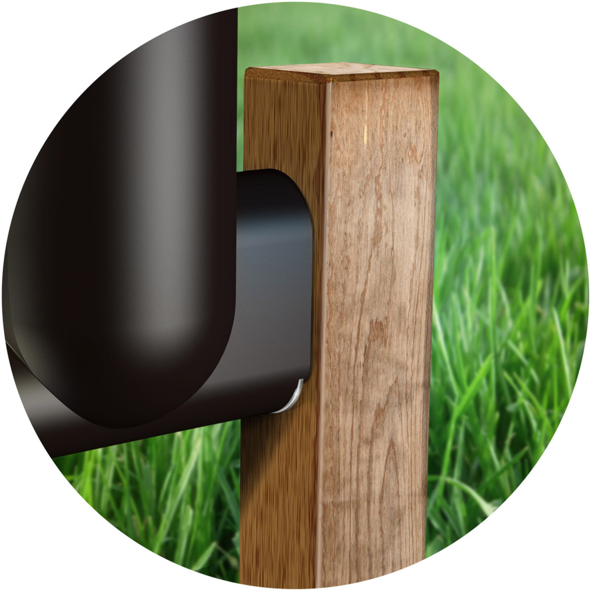 Fish Feeder Pro