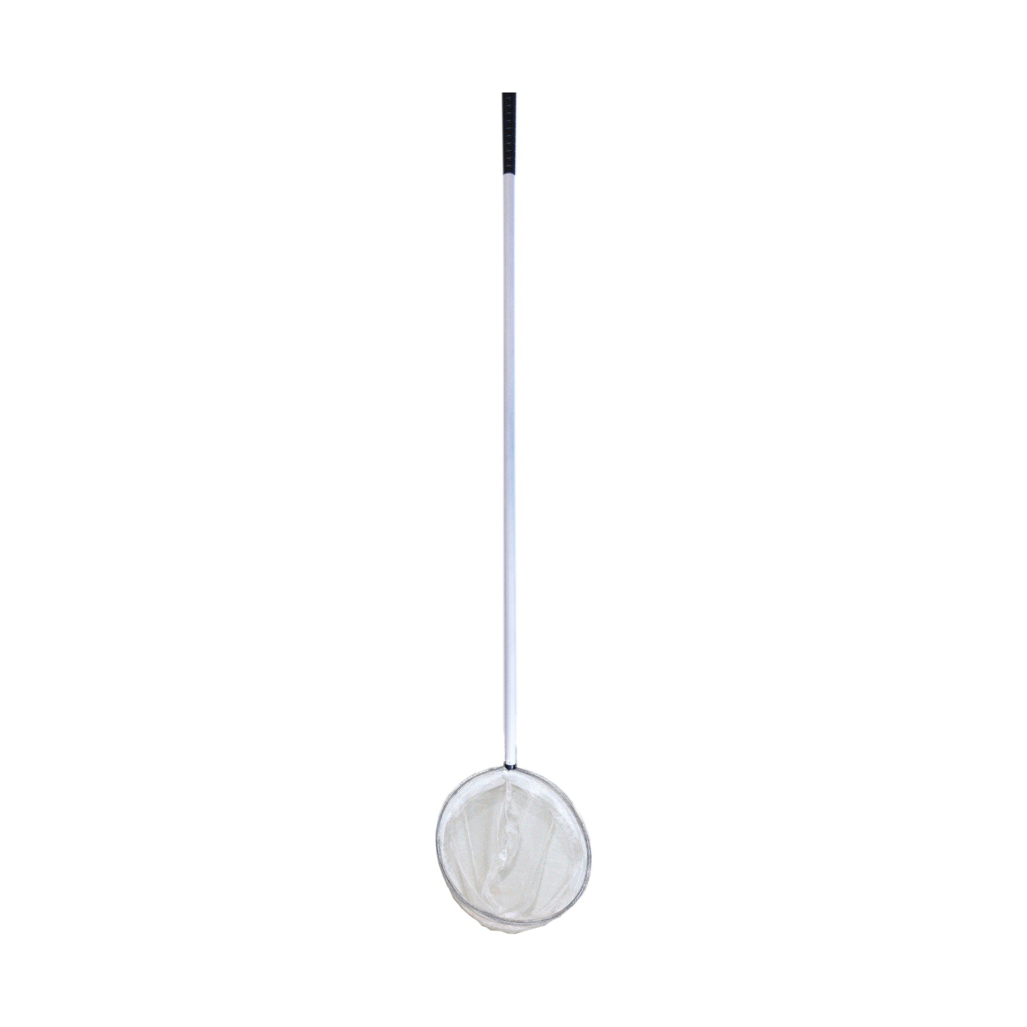 Pond Net Daphnia