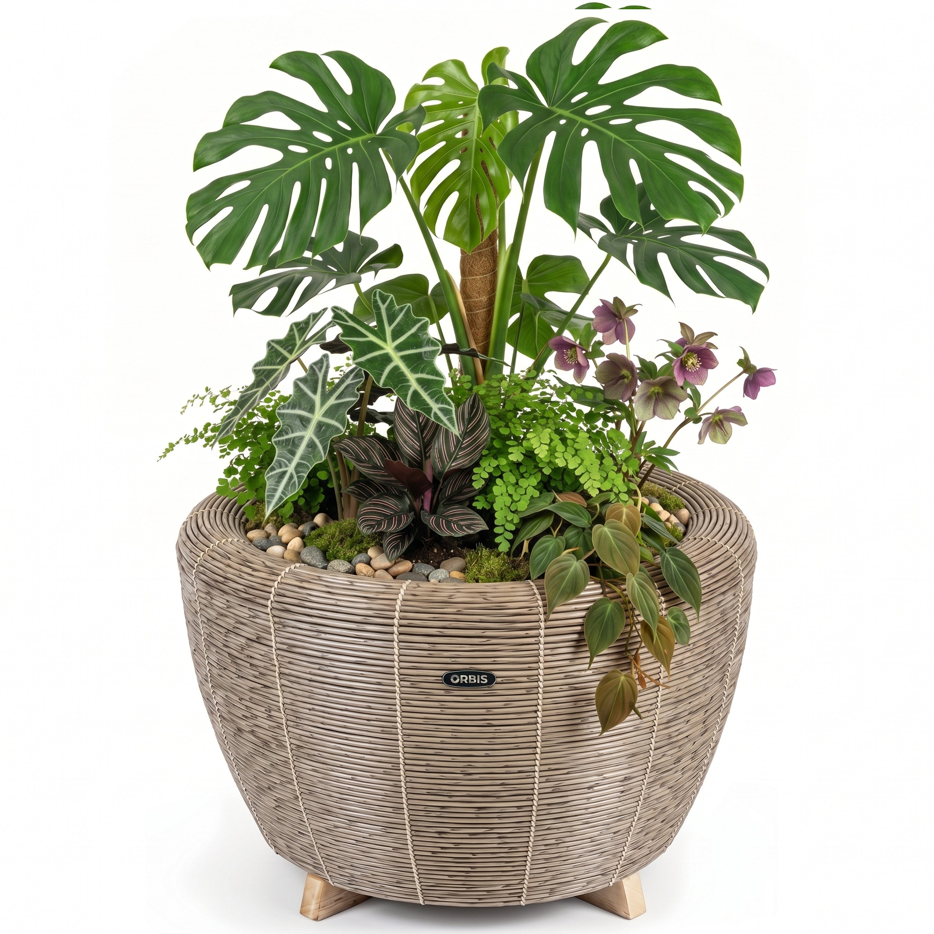 orbis-planter-sepia