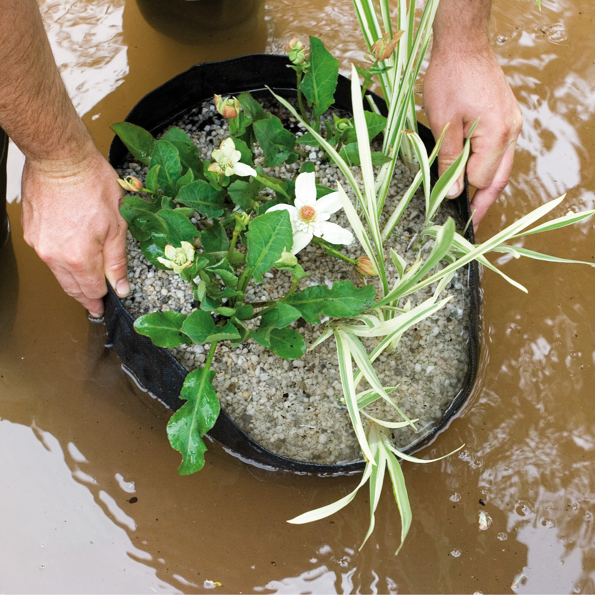 Plant Basket