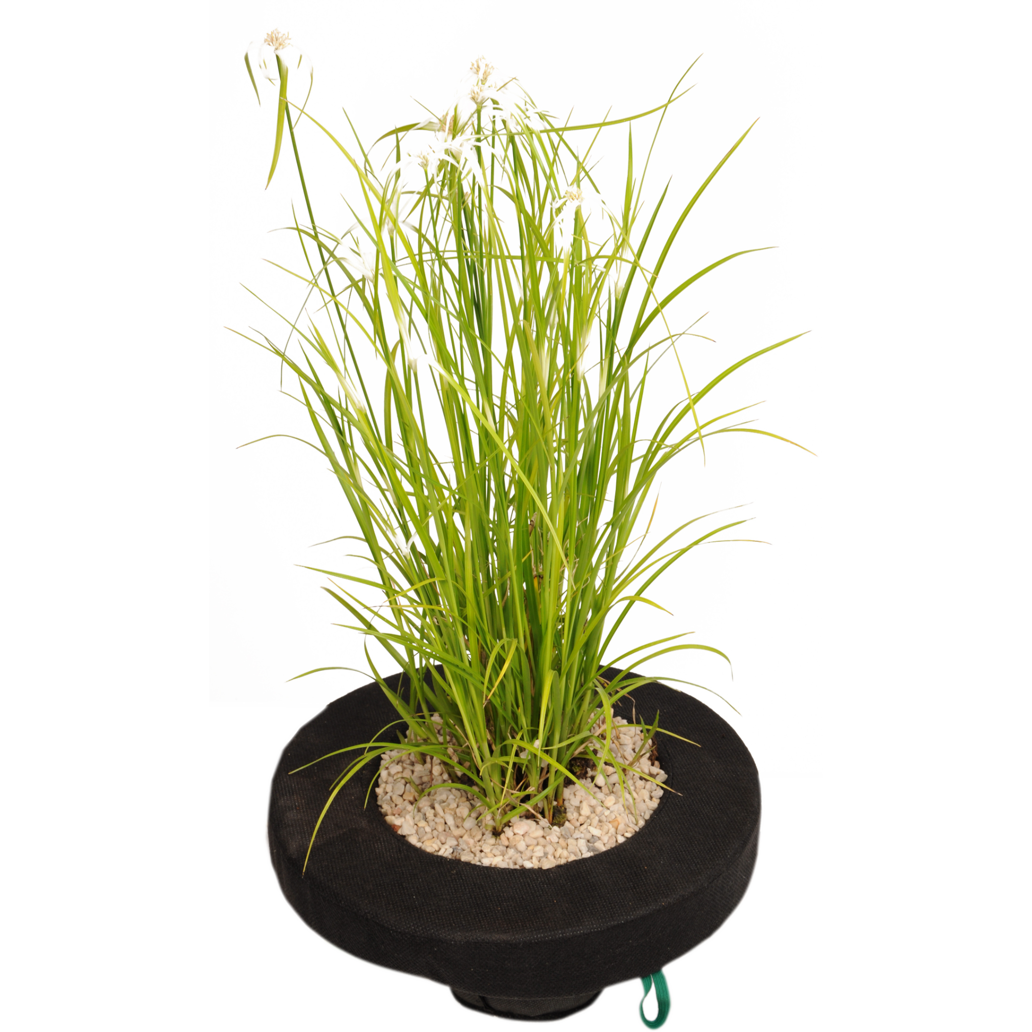 Floating Plant Island