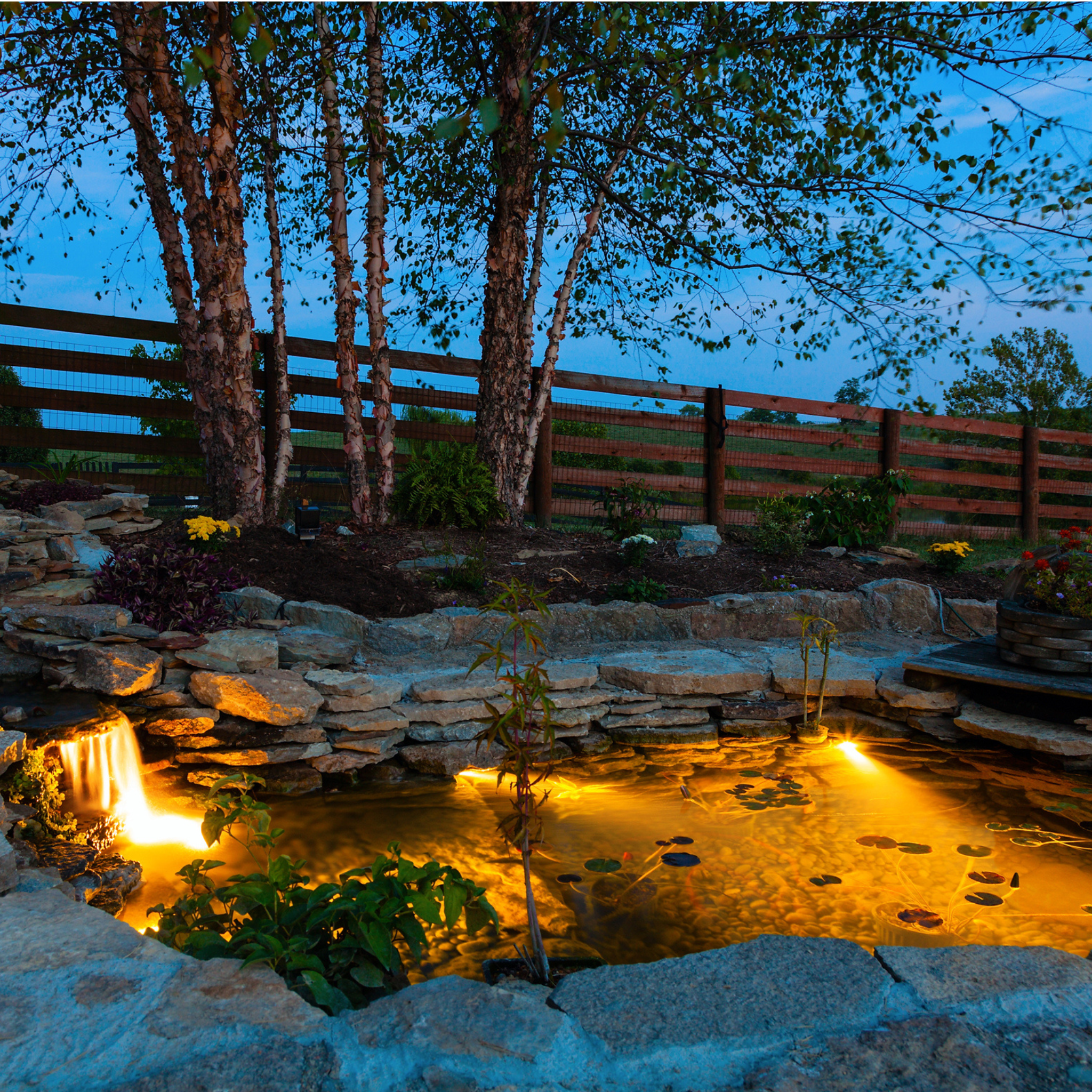 Pond LED Lights