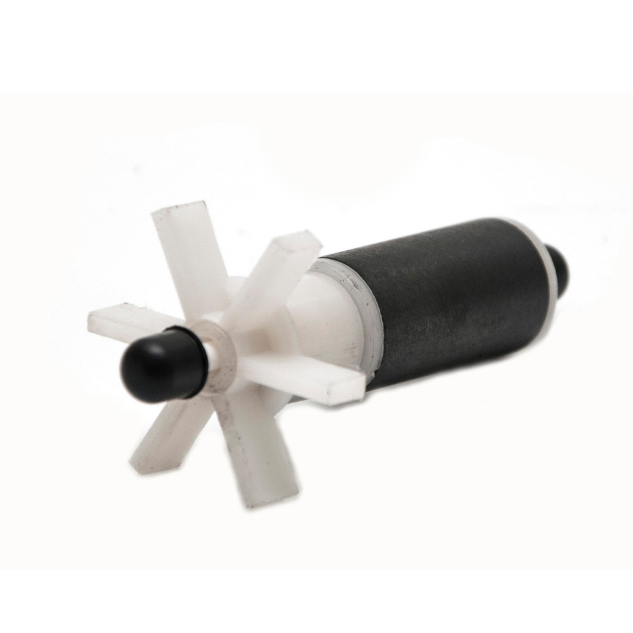 Rotor