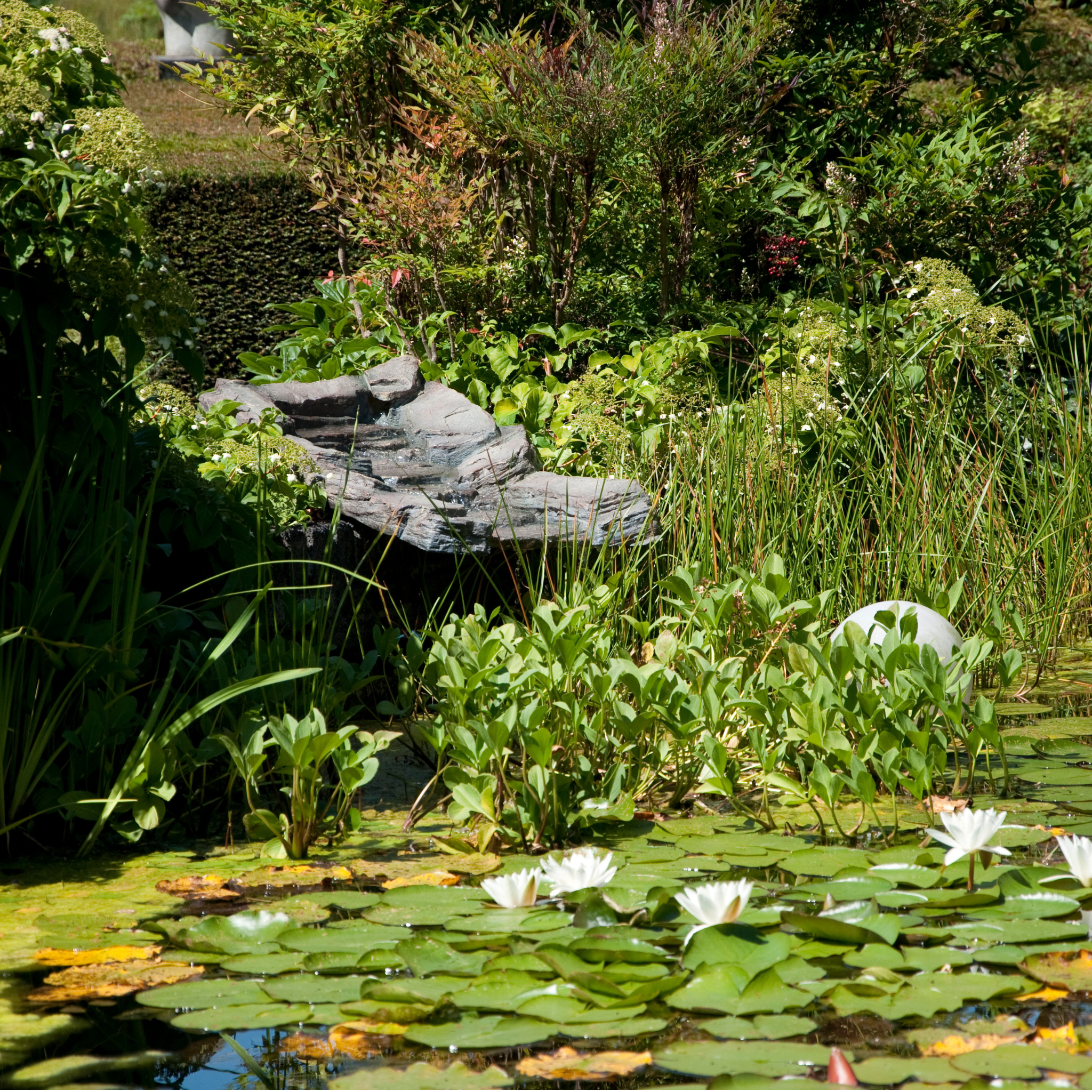 Garden Stream