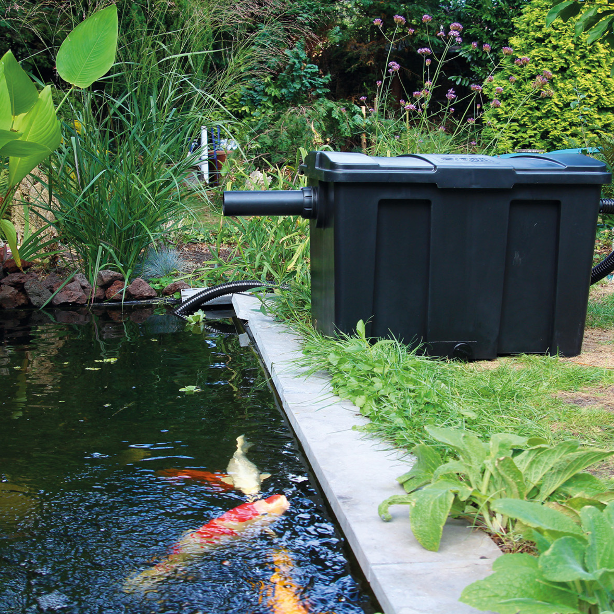 Giant Biofill am Teich